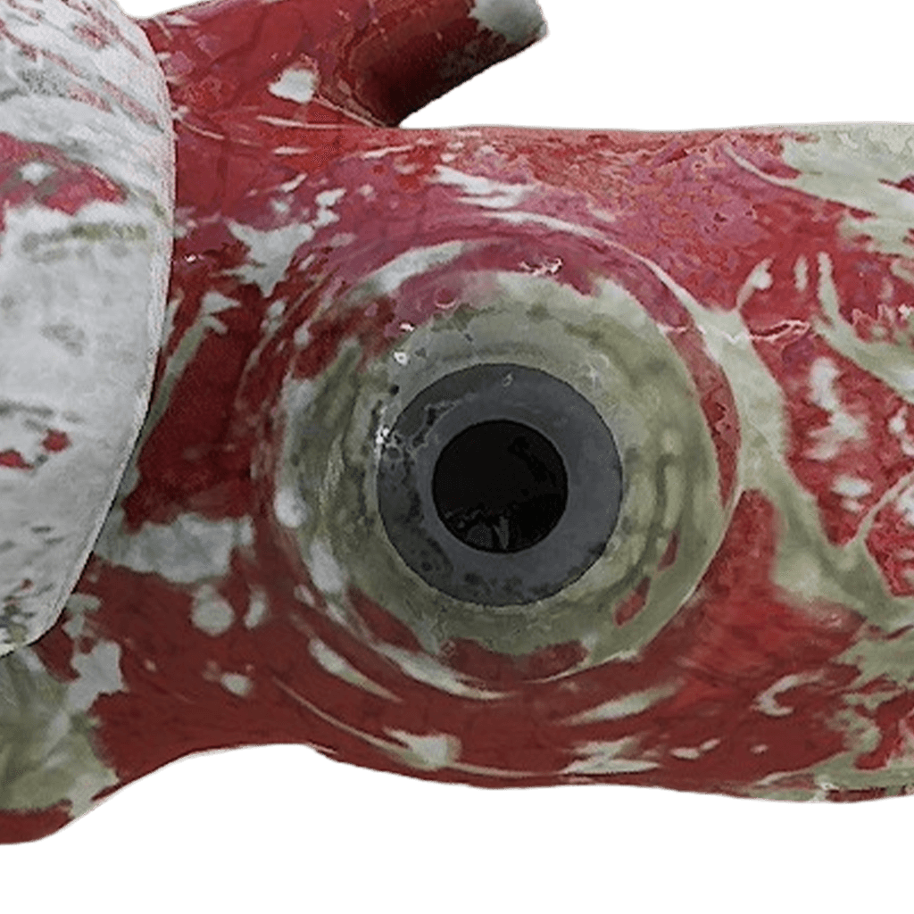 Colossal Squid