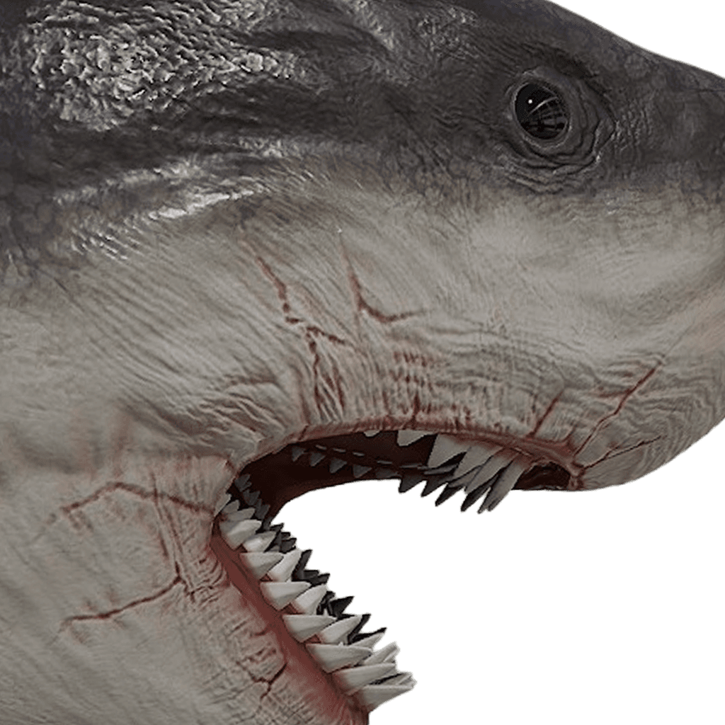 Megalodon